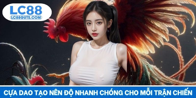 Đá Gà LC88 - Trận Đấu Kịch Tính, Đặt Cá Cược Sôi Động 2025 5 Cựa dao tạo nên độ nhanh chóng cho mỗi trận chiến