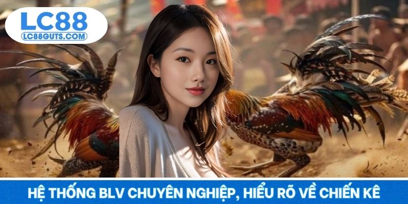 Đá Gà LC88 - Trận Đấu Kịch Tính, Đặt Cá Cược Sôi Động 2025 6 Hệ thống BLV chuyên nghiệp, hiểu rõ về chiến kê